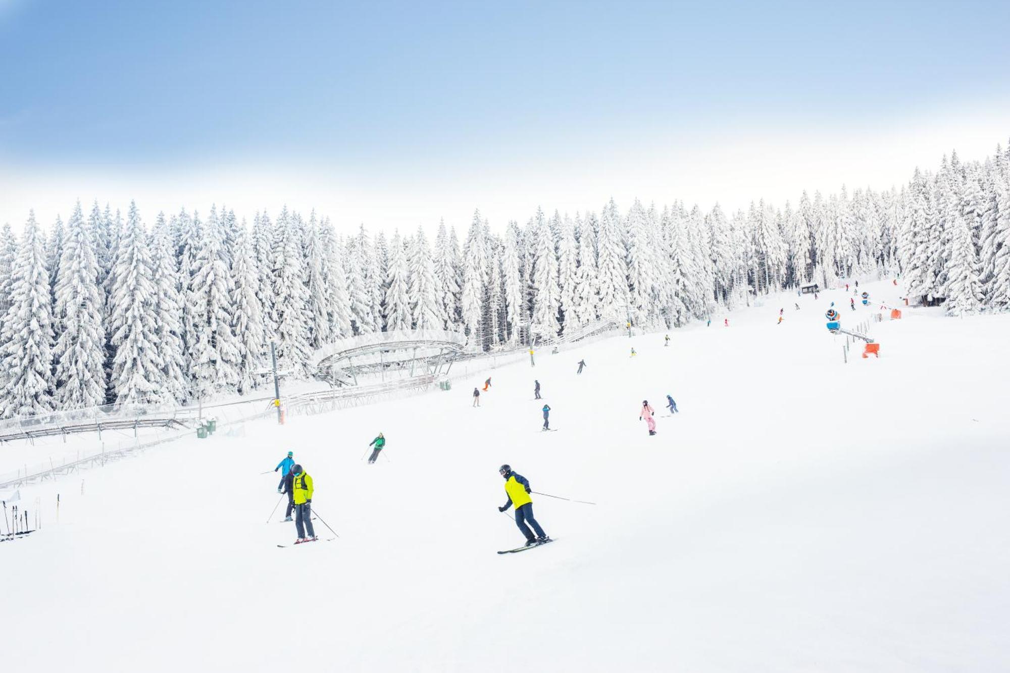 Panorama Ski, Bike, Spa & Restaurant - Czarna Gora Resort Stronie Śląskie Exteriör bild